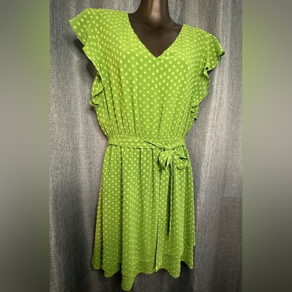 DR2 Dresses & Skirts - DR2 NWT S Green Swiss Dot A-Line Belted Dress‎